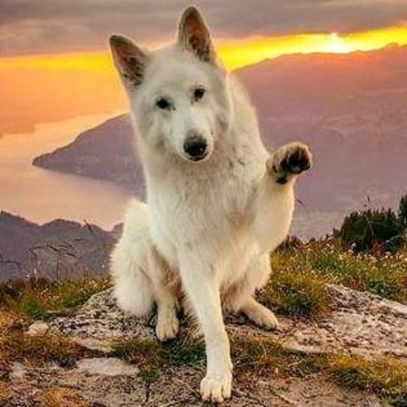 Meet your Posher, Marylin - Picture 1 of 1